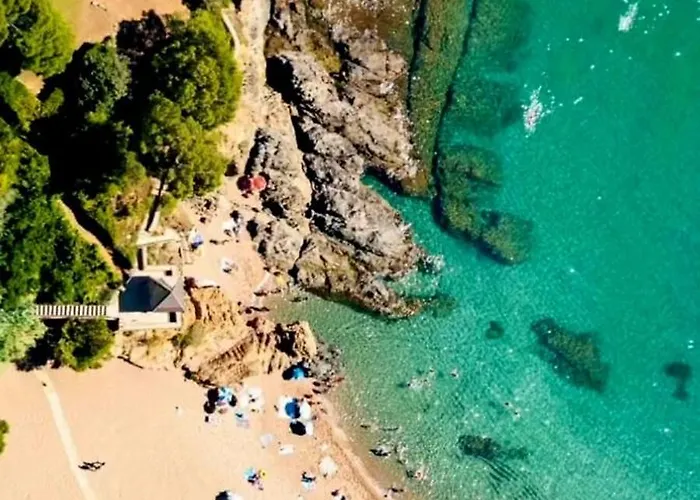- Tropicana Daire